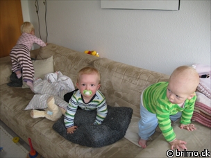 Miniature af billede nummer 576