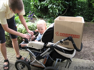 Miniature af billede nummer 586