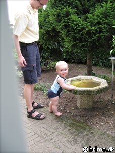 Miniature af billede nummer 590