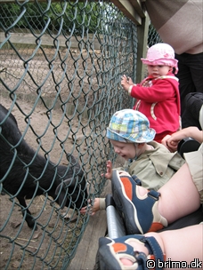 Miniature af billede nummer 595