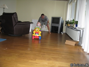 Miniature af billede nummer 604