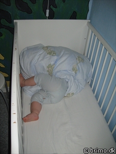 Miniature af billede nummer 605