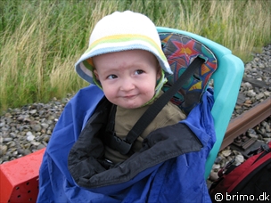 Miniature af billede nummer 606