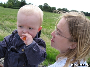 Miniature af billede nummer 609