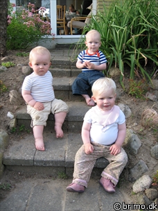 Tilfældigt billede fra August 2007