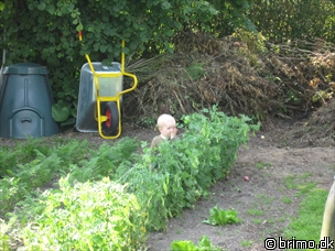 Miniature af billede nummer 620