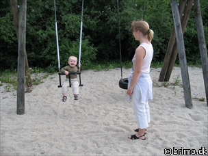 Miniature af billede nummer 623