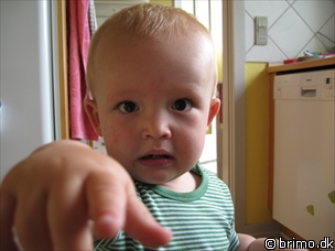 Miniature af billede nummer 628