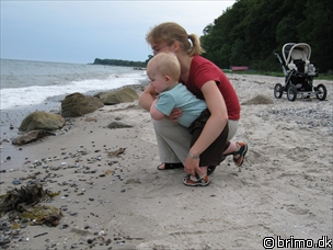 Miniature af billede nummer 629