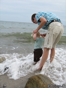 Miniature af billede nummer 637