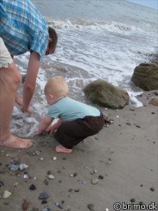 Miniature af billede nummer 638