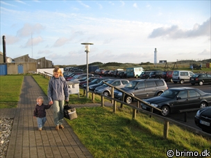 Miniature af billede nummer 650