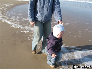 Miniature af billede nummer 659