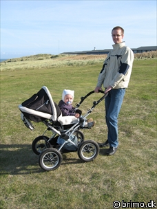 Miniature af billede nummer 660