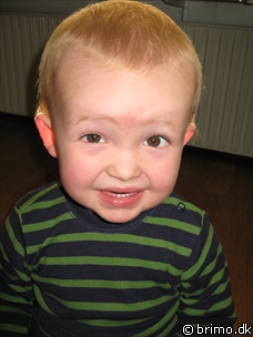 Miniature af billede nummer 669