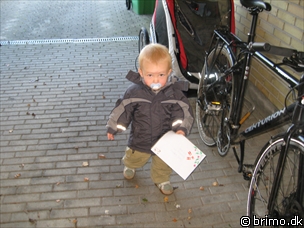 Miniature af billede nummer 670