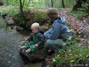 Miniature af billede nummer 672