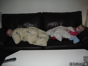 Miniature af billede nummer 676