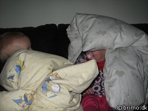 Miniature af billede nummer 677