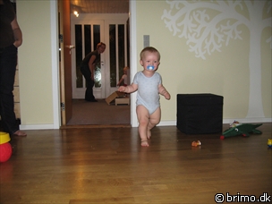 Miniature af billede nummer 680