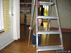 Miniature af billede nummer 685