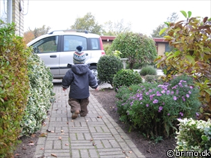 Miniature af billede nummer 686