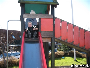 Miniature af billede nummer 688