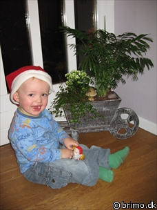 Miniature af billede nummer 701