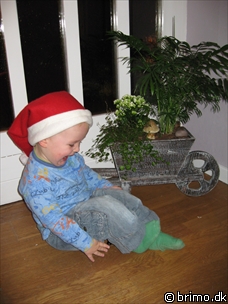 Miniature af billede nummer 702