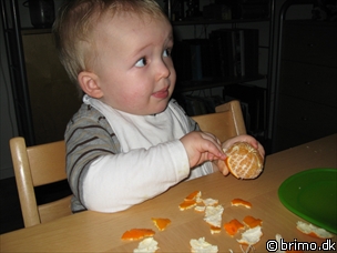 Miniature af billede nummer 705