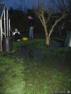 Miniature af billede nummer 713