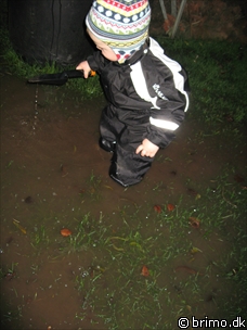 Miniature af billede nummer 714