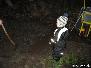 Miniature af billede nummer 717