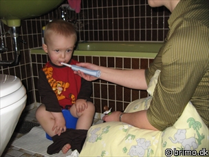 Miniature af billede nummer 724