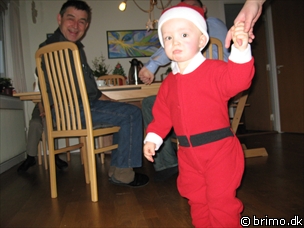 Miniature af billede nummer 729