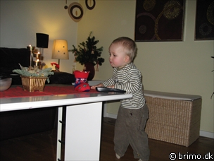 Miniature af billede nummer 732