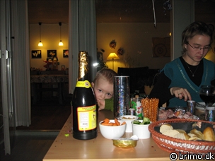 Miniature af billede nummer 741