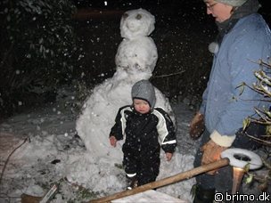 Miniature af billede nummer 744