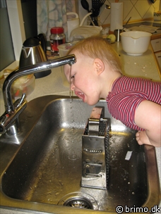 Miniature af billede nummer 745