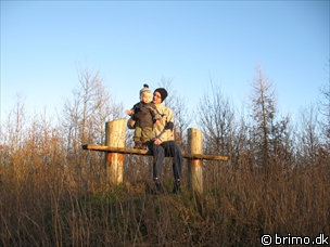 Miniature af billede nummer 755