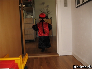 Miniature af billede nummer 757