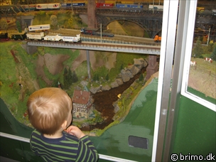 Miniature af billede nummer 760