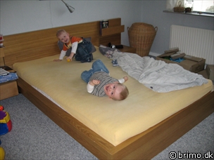 Miniature af billede nummer 763