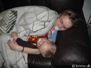 Miniature af billede nummer 774