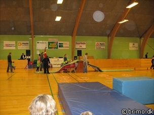 Miniature af billede nummer 779