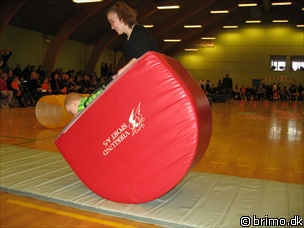 Miniature af billede nummer 781