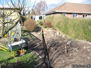 Miniature af billede nummer 786