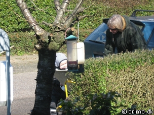 Miniature af billede nummer 788