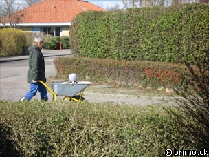 Miniature af billede nummer 789