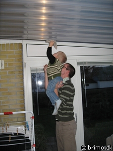 Miniature af billede nummer 800